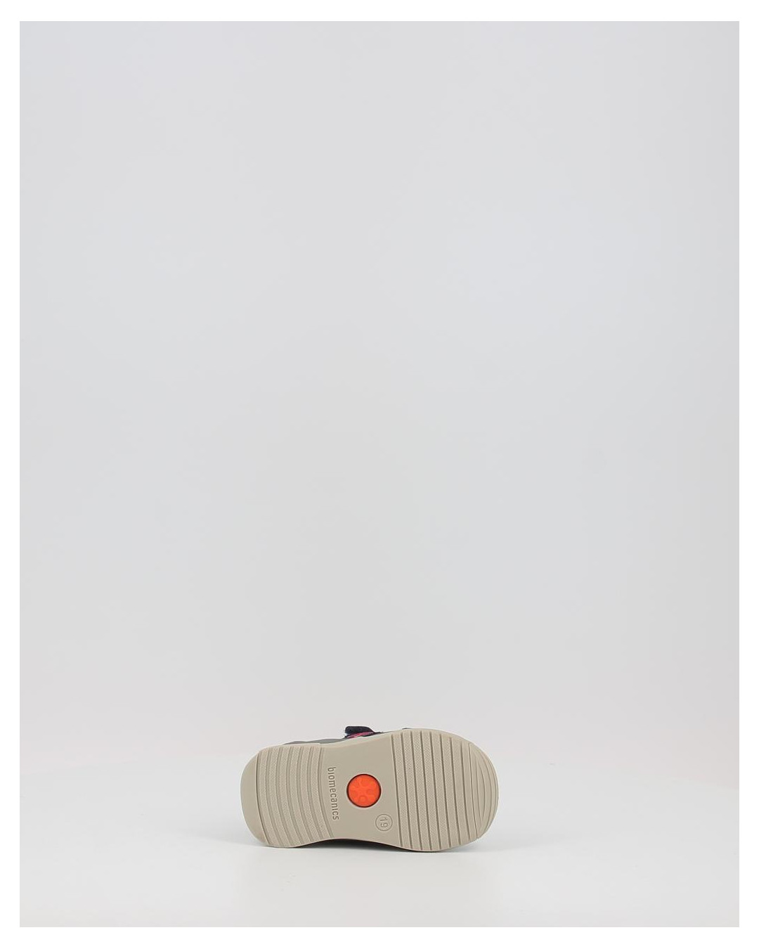 Primeros pasos Biomecanics 231117 azul