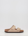Arizona SFB LENB Sandcastle Arizona SFB LENB Sandcastle