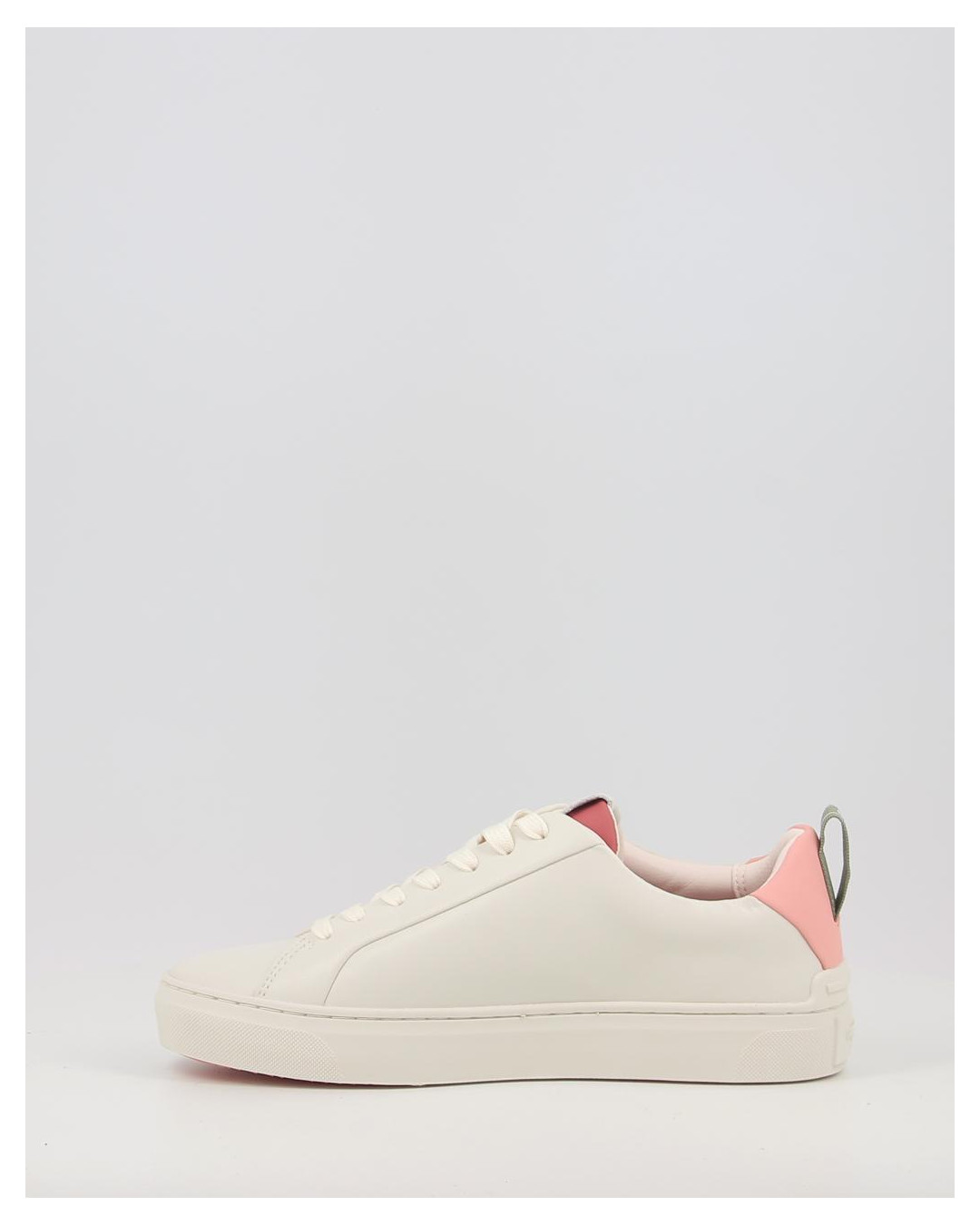 CAMDEN TEX W PLS00017