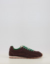 ASTER SERRAJE 1159100 ASTER SERRAJE 1159100