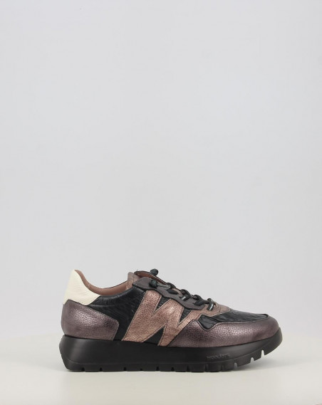 A 2491