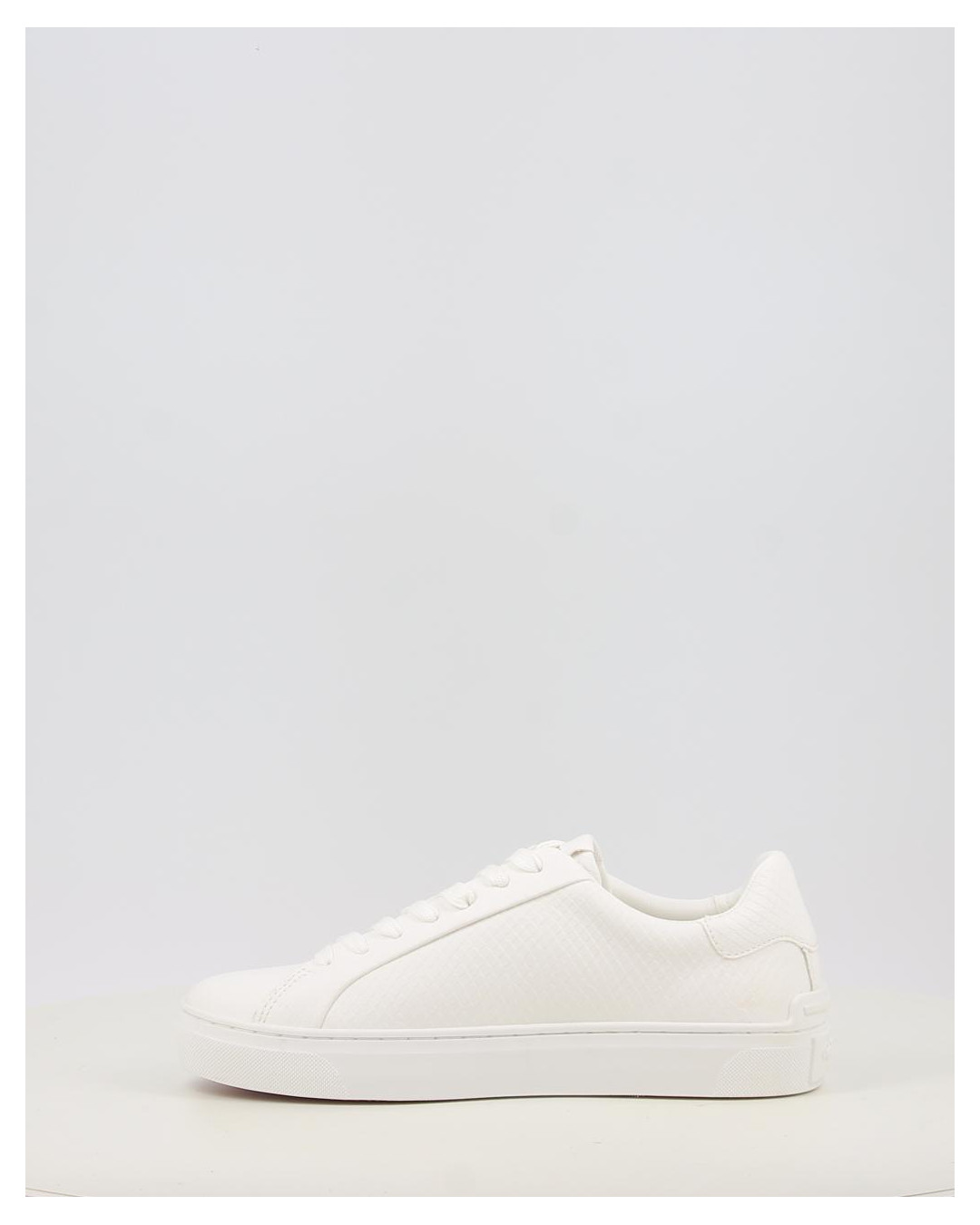 CAMDEN RUMP W PLS00031