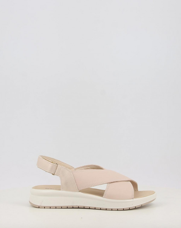 TANIA 1159300