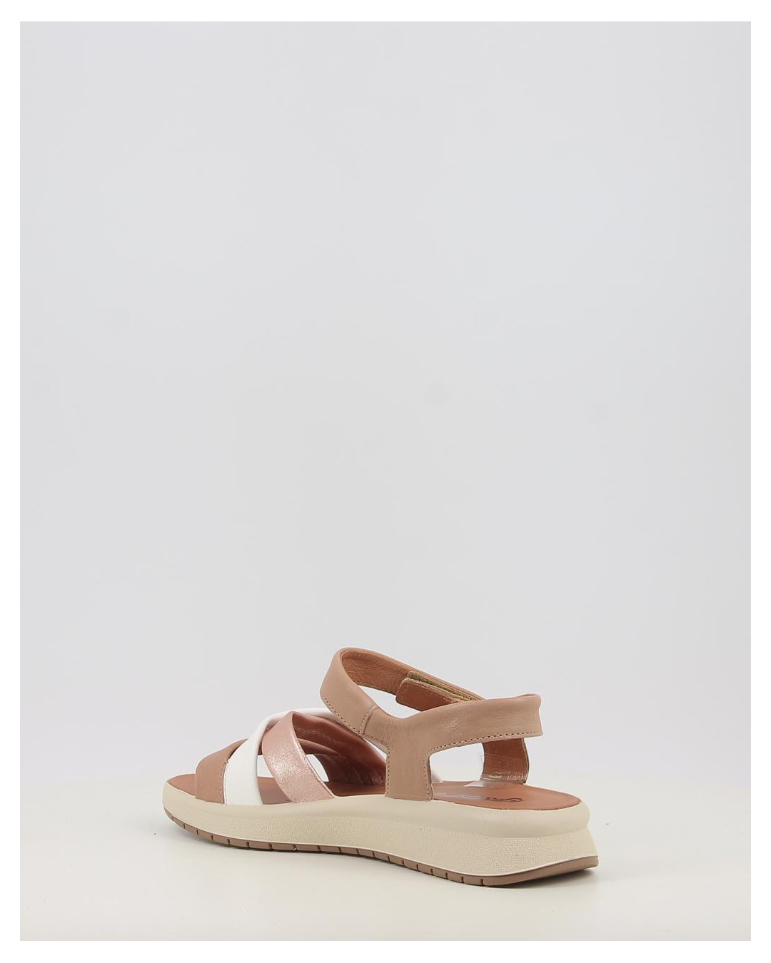 TANIA 1159000