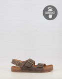 Marron