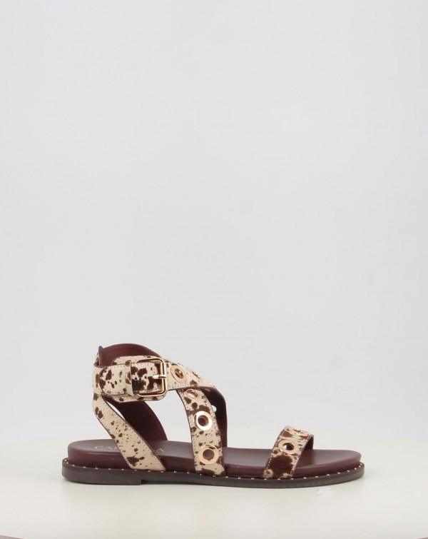 16238909