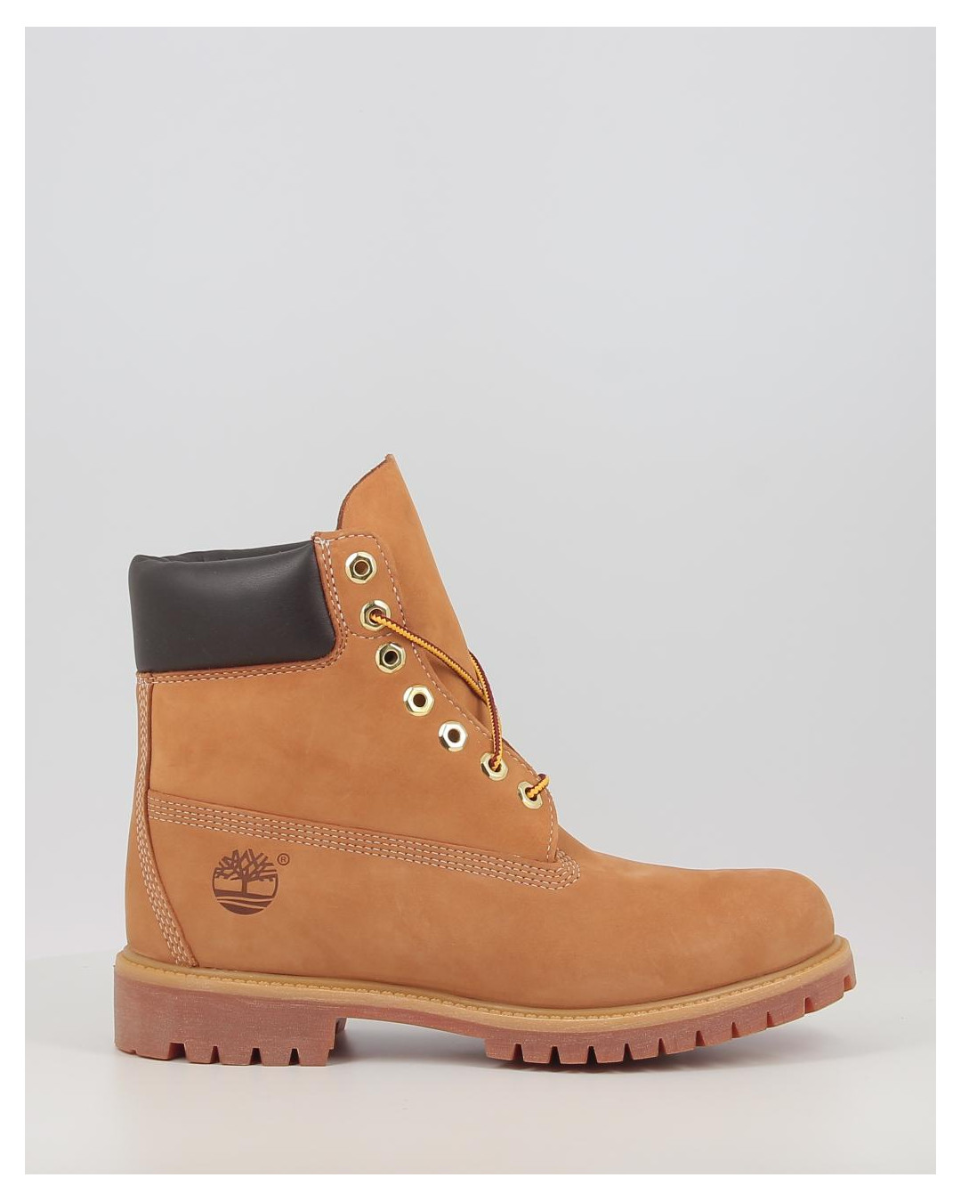 PREMIUM 6 INCH LACE UP WATERPROOF