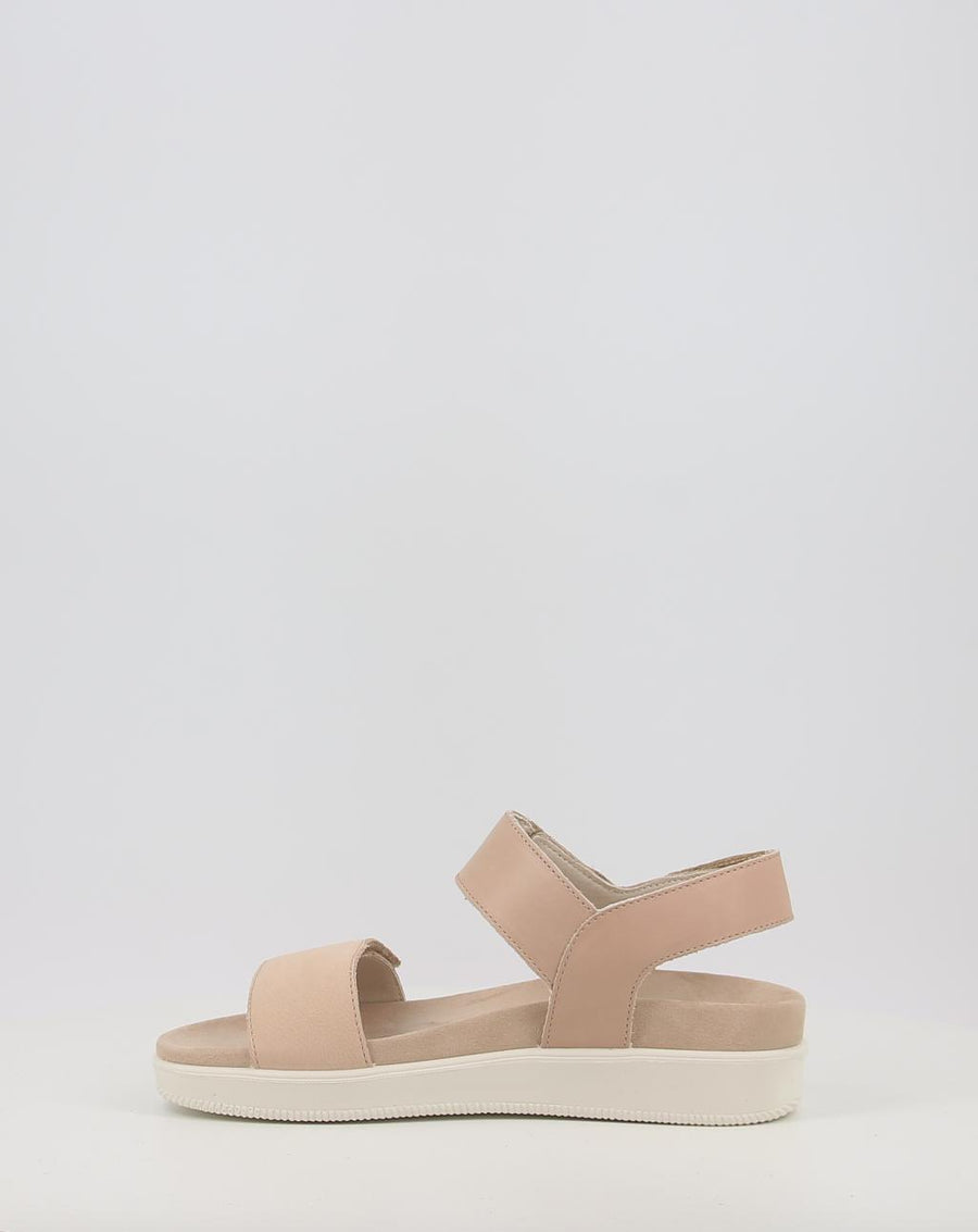 DAISY 108700