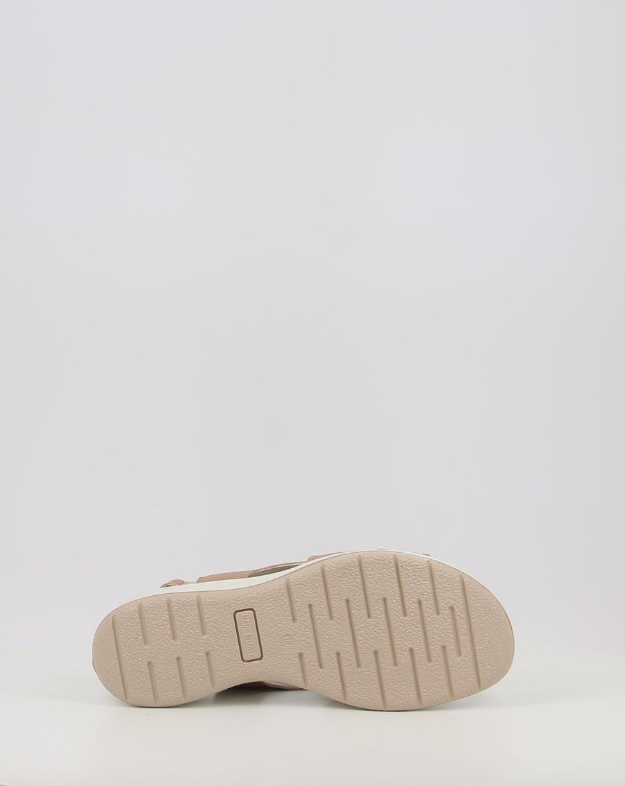 CATERINA 758480