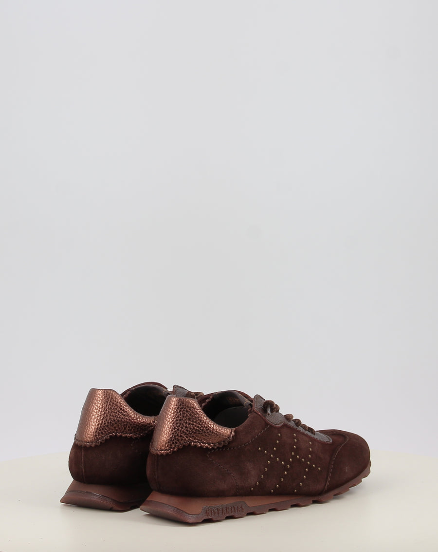 ZINNIA HI264908