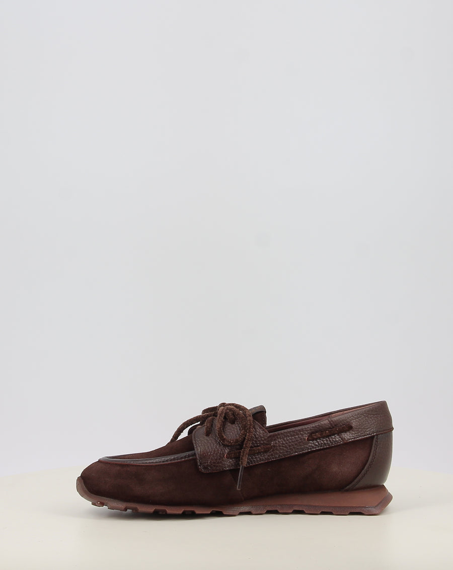 ZINNIA HI264964